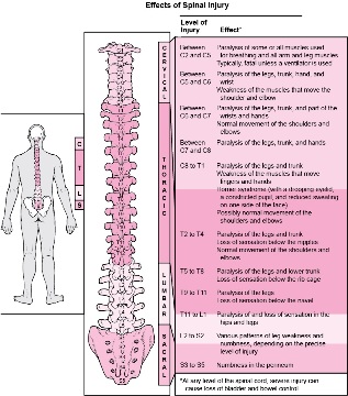 malattie del corpo associate a danni a varie parti della colonna vertebrale